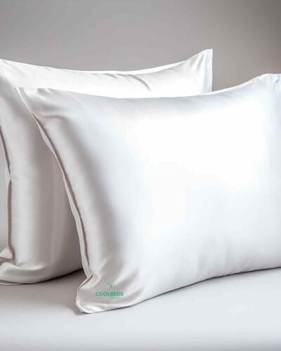 Pillow Covers for Hair & Skin - Silk Pillow